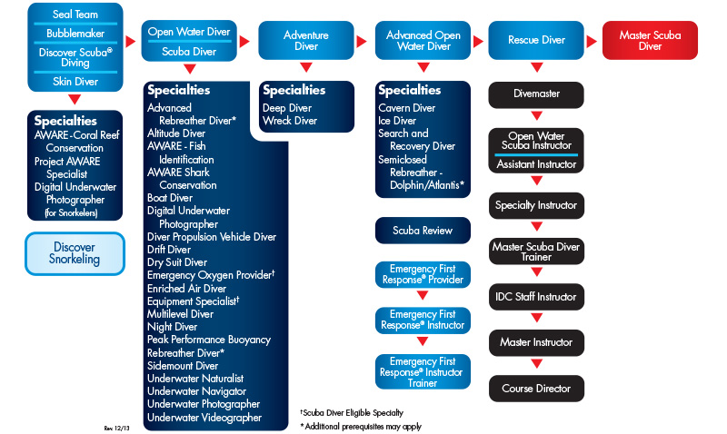 complete set of PADI courses