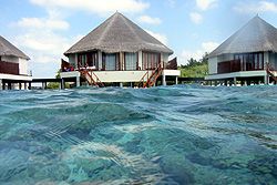 Diving photos from the Maldives