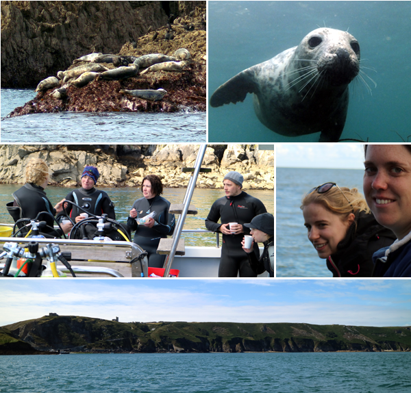 2015 Lundy Trip 2015 Lundy trip